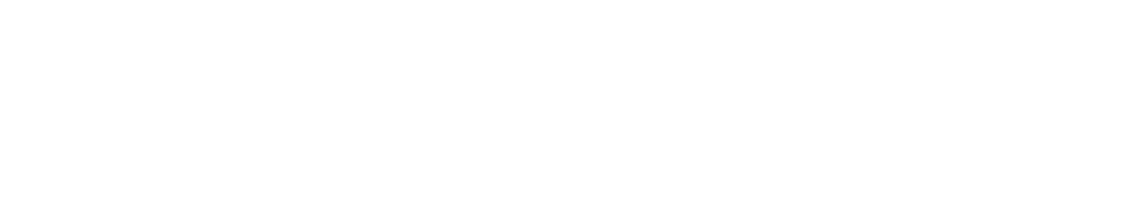 Zooey Digital Logo